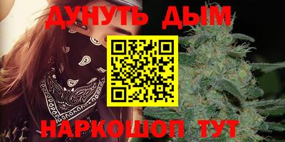 индика Будённовск