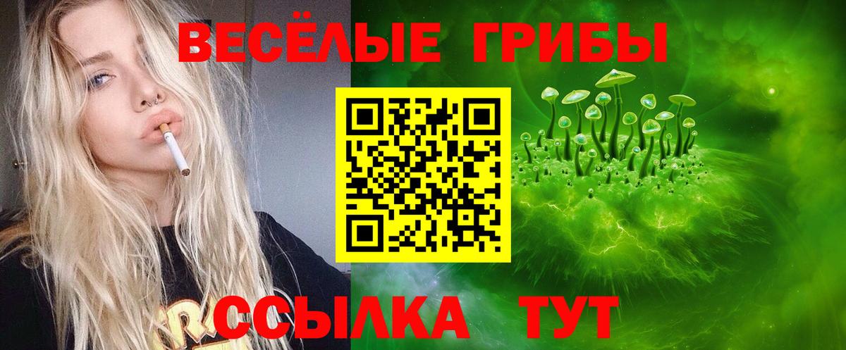 Галлюциногенные грибы Magic Shrooms  Вход с VPN  Ярославль 