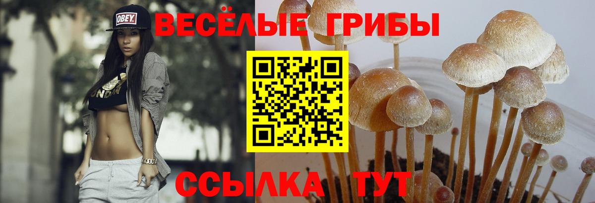 Псилоцибиновые грибы Magic Shrooms Ярославль